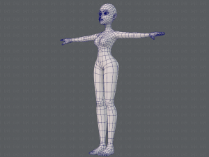 base mesh woman 19 Modelo 3D