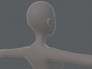 base mesh woman 19 Modelo 3D