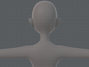base mesh woman 19 Modelo 3D