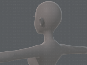 base mesh woman 19 Modelo 3D