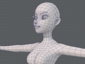 base mesh woman 19 Modelo 3D