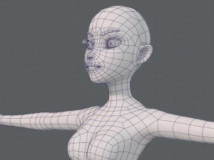 base mesh woman 19 3D Model