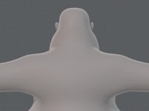 base mesh woman 20 3D Model