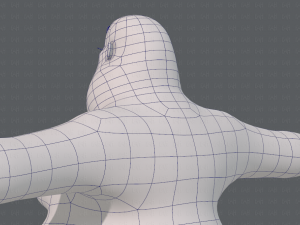 base mesh woman 20 3D Model