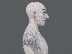 base mesh man character v19 3D Model