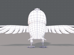 bird v01 Model 3D