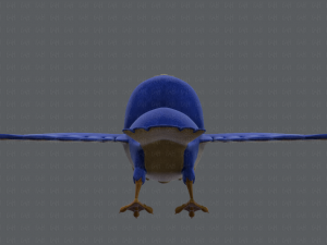 bird v01 Model 3D