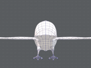 bird v01 Model 3D