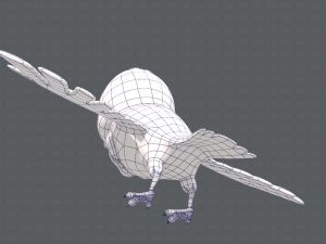 bird v01 Model 3D