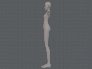base mesh woman 21 3D-Modell