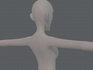 base mesh woman 21 3D-Modell