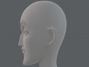 base mesh woman 21 3D Model