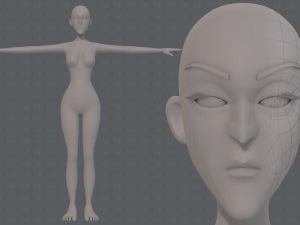 base mesh woman 22 3D मॉडल