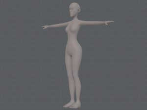 base mesh woman 22 3D Model