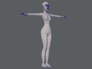 base mesh woman 22 3D Model
