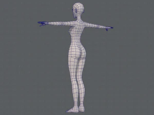 base mesh woman 22 3D Model