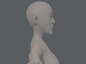 base mesh woman 22 3D Model