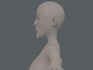 base mesh woman 22 3D Model