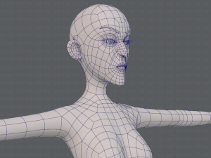 base mesh woman 22 3D Model