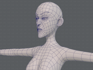 base mesh woman 22 3D Model