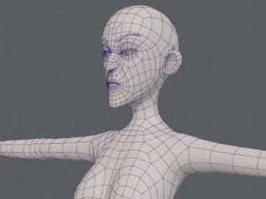 base mesh woman 22 3D Model