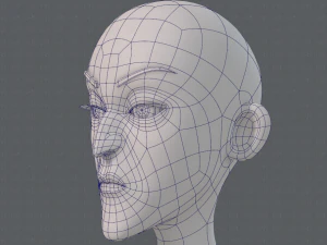 base mesh woman 22 3D Model
