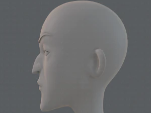 base mesh woman 22 3D Model