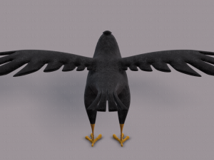 bird v02 3D Model
