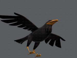 bird v02 3D Model