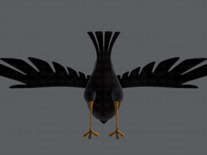bird v02 3D Model