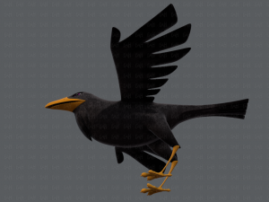 bird v02 3D Model