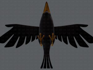 bird v02 3D Model