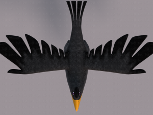 bird v02 3D Model