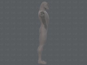base mesh man character v20 Modelo 3D