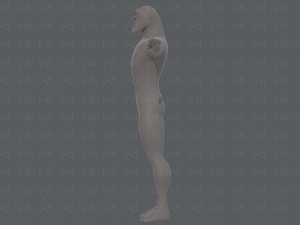 base mesh man character v20 Modelo 3D