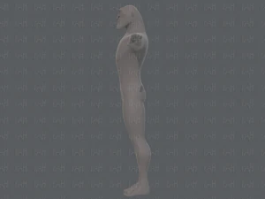 base mesh man character v20 3D Model