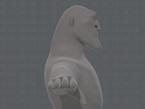 base mesh man character v20 3D Model