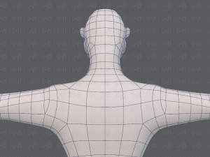 base mesh man character v20 Modelo 3D