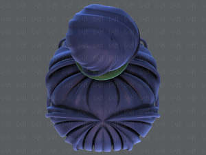 3d зачіска для дівчини v65 3D Модель