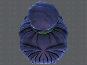 3d зачіска для дівчини v65 3D Модель