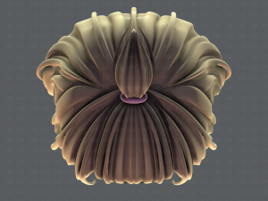 3d hair style for girl v66 Modelo 3D