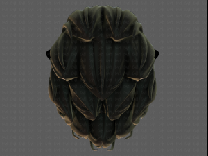 3d hair style for boy v70 3D-Modell