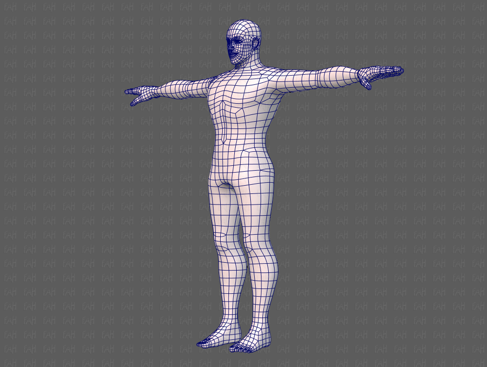 Base mesh