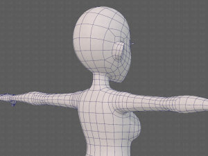 base mesh woman 23 Model 3D