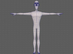 base mesh man character v22 3D Model