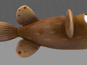 fish v06 Modèle 3D