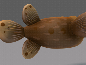 fish v06 Modèle 3D