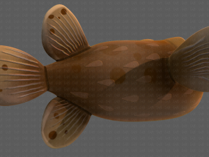fish v06 Modèle 3D