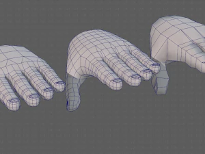 hand model 3D Model
