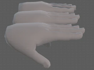 hand model 3D Model